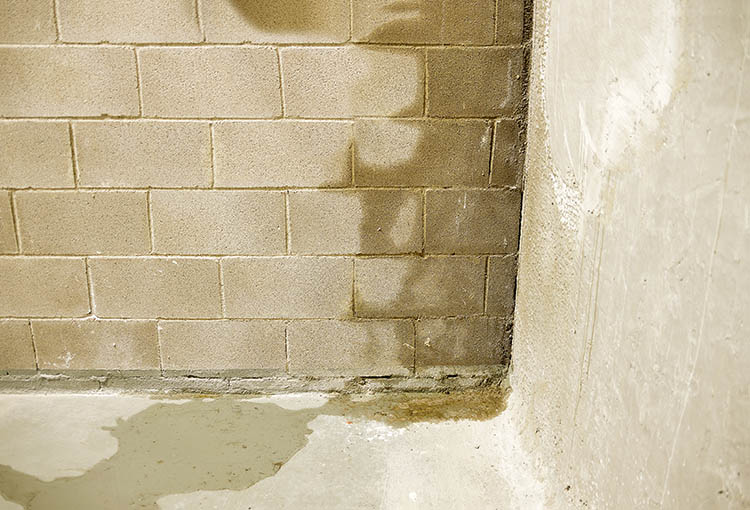 Rain water leaks on the wall causing damage - Springfield IL